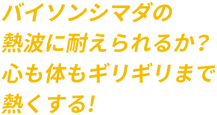 バイソンシマダの熱波に耐えられるか？心も体もギリギリまで熱くする！