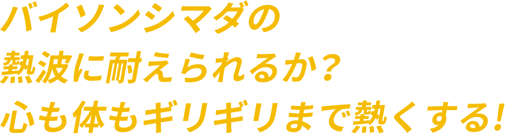 バイソンシマダの熱波に耐えられるか？心も体もギリギリまで熱くする！